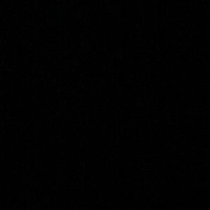 Meet your Posher, Bridget